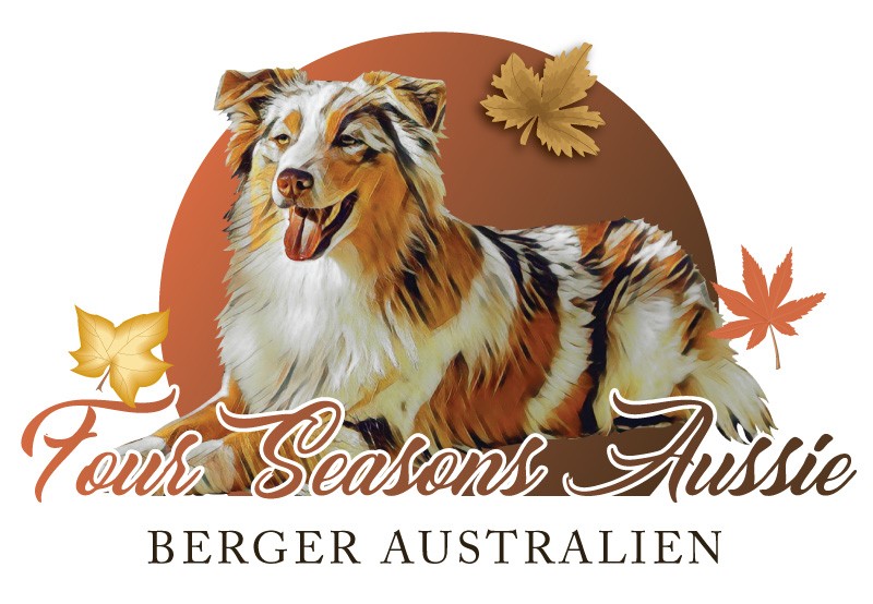 Four Seasons Aussie